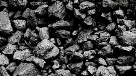 來賓市 大灣區(qū)企業(yè)入桂投資的水產(chǎn)新熱土